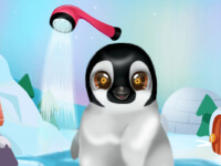 Tiersalon: Arktis