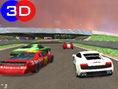 Speed-Rally Pro