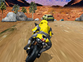 Sportmotorrad- Rennen