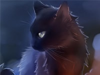 Warrior Cats Quiz