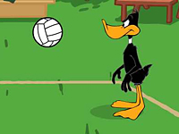 Daffy Volleyball