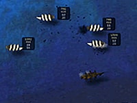 Piraten-Duell