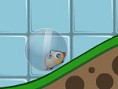 Hamsterball