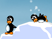 Duell der Pinguine