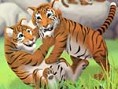 Tiger Pflegen