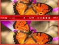 Fehler in der Tierwelt