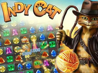 Indy Cat