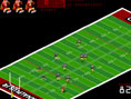 Toller Quarterback