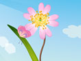Blumen Dekoration