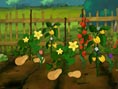 Garten bepflanzen