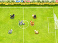Haustier- Fussball
