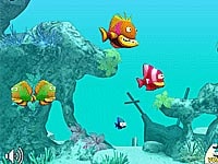 Große Fische 2