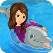Meine Delfin-Show