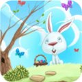 Find Differences Bunny