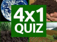 4x1 Picture Quiz