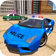 Polizeiauto Drift Stunts