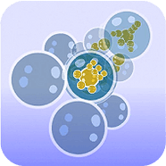 Bubble Tanks 3