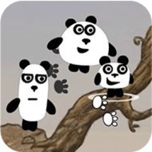 3 Pandas 2: Night
