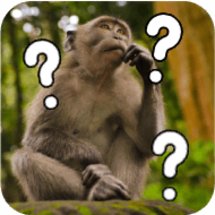 Quiz: Erkennst du diese Tiere?