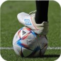 WM-Quiz: Teste dein Fußball-Wissen!
