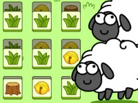 Sheep n Sheep - Online Žaidimas