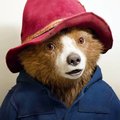 Das große "Paddington"-Quiz